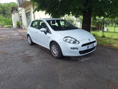 Usata Fiat Punto Street 69 CV (50 kW) 2014 Bianco Utilitaria