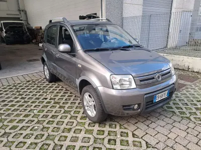 Usata Fiat Panda 4x4 Climbing 75 CV (55 kW) 2011 Grigio Utilitaria