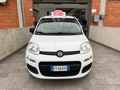 Usata Fiat Panda Lounge 80 CV (58 kW) 2015 Bianco Utilitaria