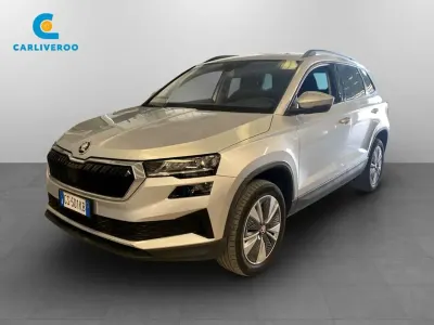 Usata Skoda Karoq