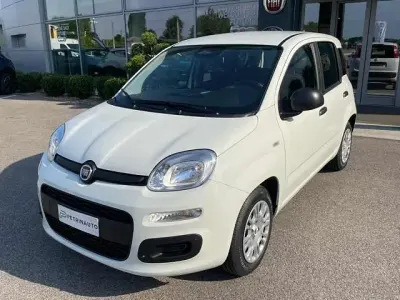 Ny Fiat Panda 65 HK (47 kW) 2026 Vit Halvkombi