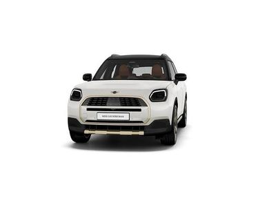 Usata Mini Countryman