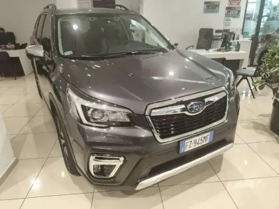 Usata Subaru Forester Premium 150 CV (110 kW) 2019 Canna di fucile SUV