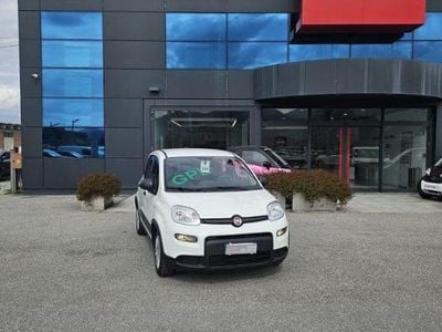 Usata Fiat Panda 69 CV (50 kW) 2024 Bianco Utilitaria