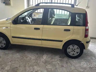 Usata Fiat Panda Dynamic 60 CV (44 kW) 2004 Giallo Utilitaria