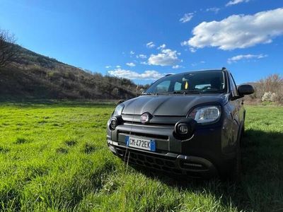 usata Fiat Panda Cross - 2023