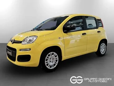 Nuova Fiat Panda Icon 65 CV (47 kW) 2026 Giallo positano pastello Utilitaria