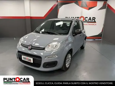 Usata Fiat Panda 69 CV (50 kW) 2021 Grigio Utilitaria