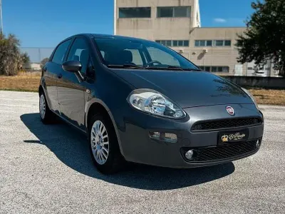 Usata Fiat Punto Lounge 69 CV (50 kW) 2015 Grigio Utilitaria