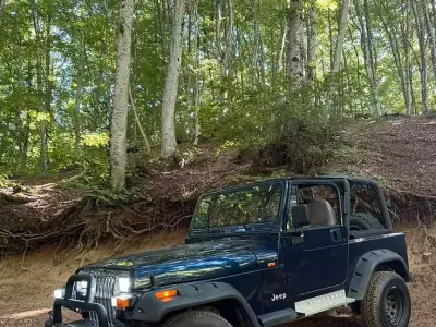 Usata Jeep Wrangler Laredo 184 CV (135 kW) 1994 SUV