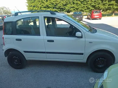 Usata Fiat Panda 60 CV (44 kW) 2009 Bianco Utilitaria