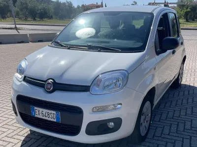 Usata Fiat Panda Easy 69 CV (50 kW) 2014 Bianco Utilitaria