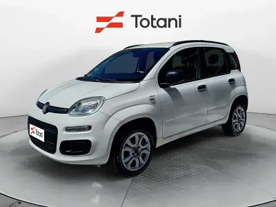 Usata Fiat Panda Easy 80 CV (58 kW) 2014 Bianco Utilitaria