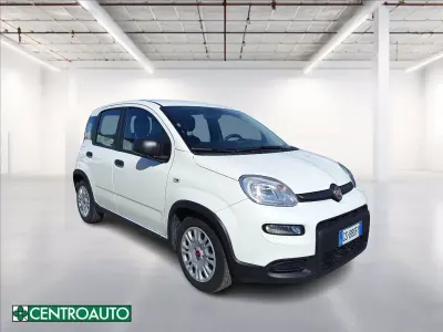 Usata Fiat Panda S 69 CV (50 kW) 2024 Bianco pastello Utilitaria
