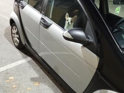 Usata Smart ForFour 68 CV (50 kW) 2006 Grigio Utilitaria