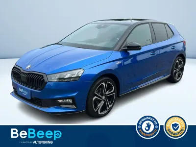 Usata Skoda Fabia