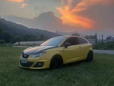 Usata Seat Ibiza