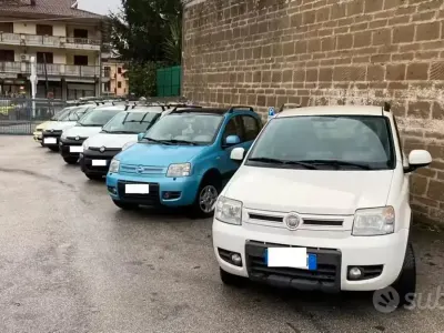 Second-hand Fiat Panda 4x4 69 CP (50 kW) 2007 Alb Hatchback