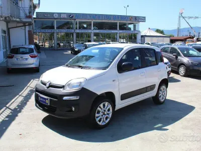 Usata Fiat Panda 4x4 S 75 CV (55 kW) 2013 Bianco Utilitaria