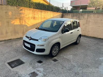 usata Fiat Panda Panda 1.3 MJT 95 CV S&S Easy