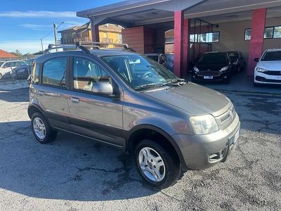 Usata Fiat Panda 4x4 Climbing 74 CV (54 kW) 2011 Grigio Utilitaria