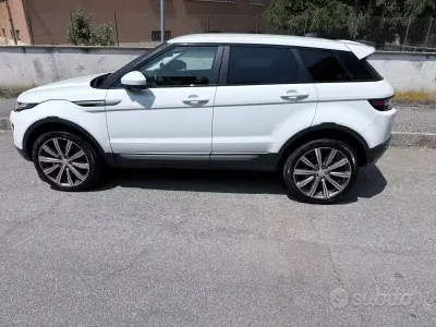 Usata Land Rover Range Rover evoque 150 CV (110 kW) 2017 Bianco Station wagon