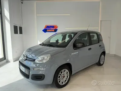 Usata Fiat Panda Lounge 69 CV (50 kW) 2017 Grigio Utilitaria