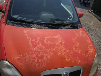 Usata Lancia Ypsilon