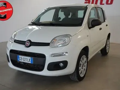 Usata Fiat Panda Easy 84 CV (61 kW) 2020 Bianco Utilitaria