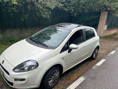 usata Fiat Punto Evo 5p 1.4 m-air Emotion s&s 105cv