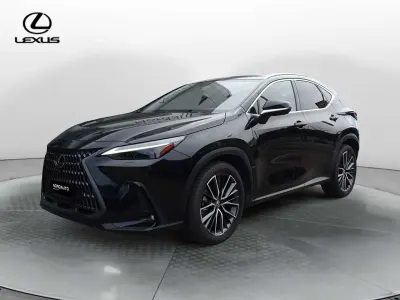 Usata Lexus NX300 Luxury Line 309 CV (227 kW) 2023 Nero SUV