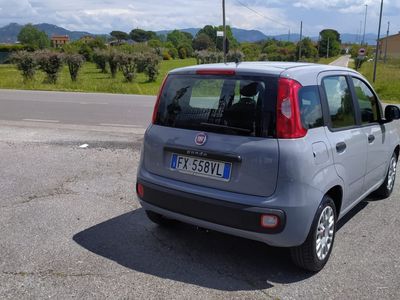 usata Fiat Panda Panda 1.2 Lounge