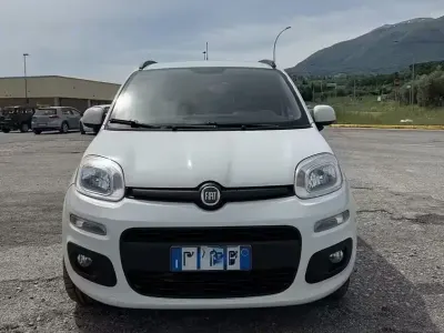 Usata Fiat Panda 4x4 80 CV (58 kW) 2016 Bianco Utilitaria
