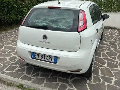 Usata Fiat Punto 75 CV (55 kW) 2012 Bianco Utilitaria