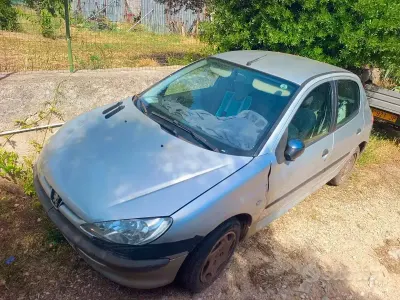 Usata Peugeot 206