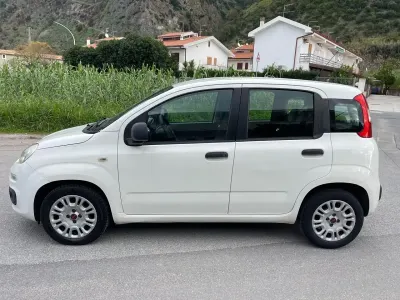Usata Fiat Panda Easy 75 CV (55 kW) 2012 Bianco Utilitaria
