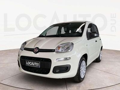 Nuova Fiat Panda Icon 69 CV (50 kW) 2025 Bianco Berlina
