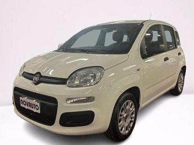 Usata Fiat Panda Easy 69 CV (50 kW) 2018 Bianco Berlina