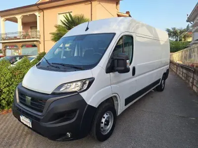Usata Fiat Ducato