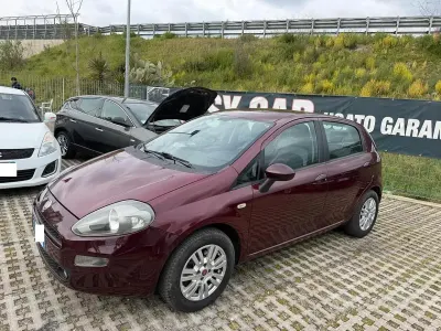 Usata Fiat Punto Lounge 95 CV (69 kW) 2012 Marrone Utilitaria
