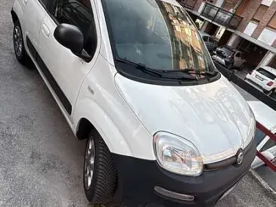 Usata Fiat Panda 4x4