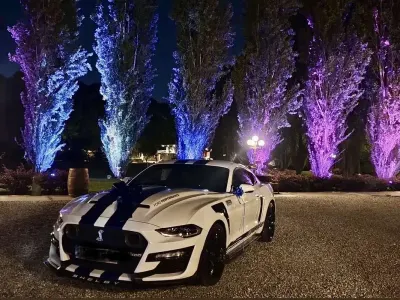 Usata Ford Mustang Fastback 317 CV (233 kW) 2021 Coupé