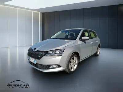 Usata Skoda Fabia Business Line 75 CV (55 kW) 2019 Argento Utilitaria