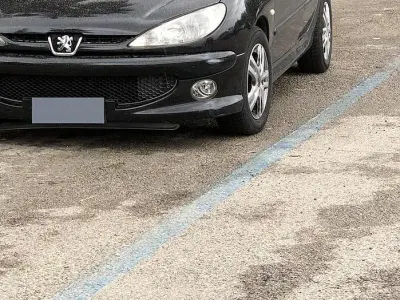 Usata Peugeot 206