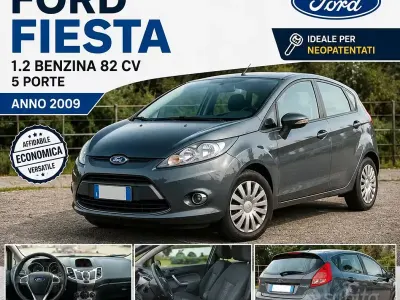 Usata Ford Fiesta 82 CV (60 kW) 2009 Grigio Utilitaria