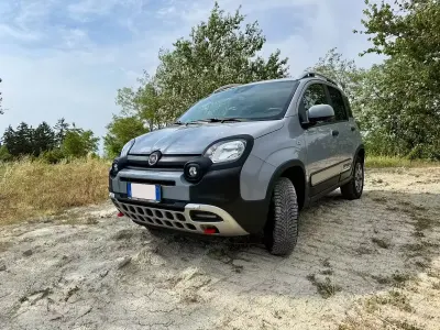 Usata Fiat Panda Cross Cross 85 CV (62 kW) 2019 Utilitaria