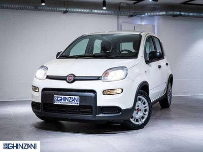 Bianco Usata 2024 Fiat Panda S Utilitaria | 13.500 € (Buon prezzo)