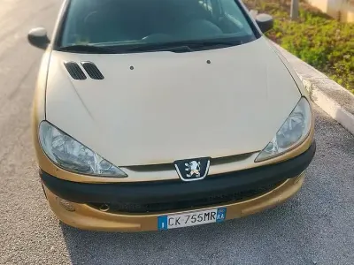Usata Peugeot 206
