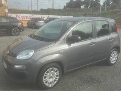 usata Fiat Panda Cross 1.0 FireFly S&S Hybrid City usato