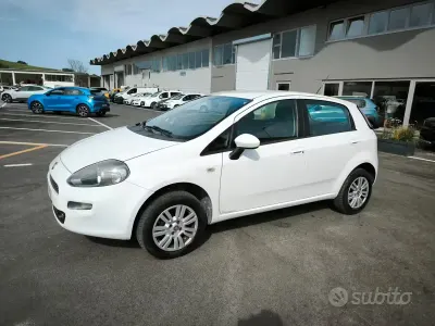 Usata Fiat Punto Lounge 70 CV (51 kW) 2013 Bianco Utilitaria